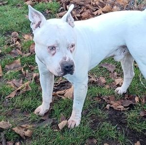 Meet your Posher, Billy